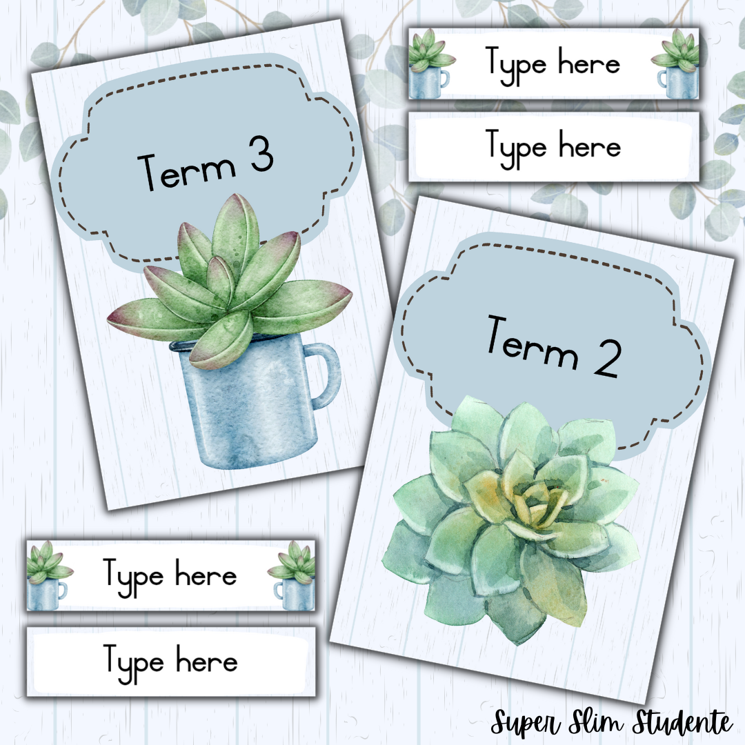 Succulent Classroom Theme (English HL/FAL Version)