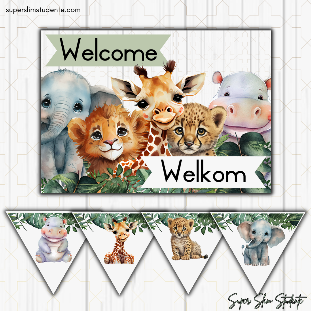 Wild Animals Classroom Theme (Bilingual Foundation Phase)
