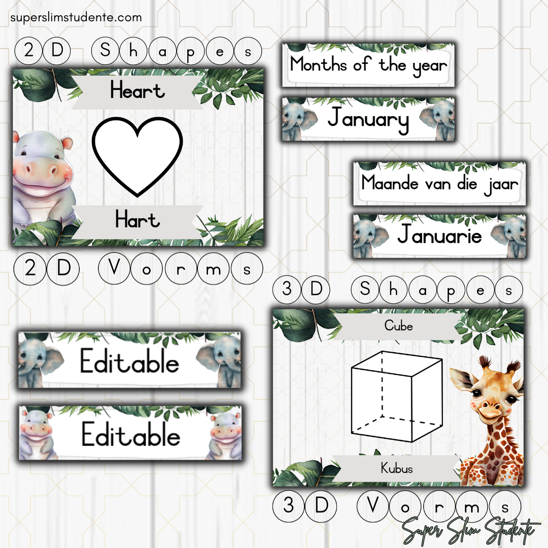 Wild Animals Classroom Theme (Bilingual Foundation Phase)