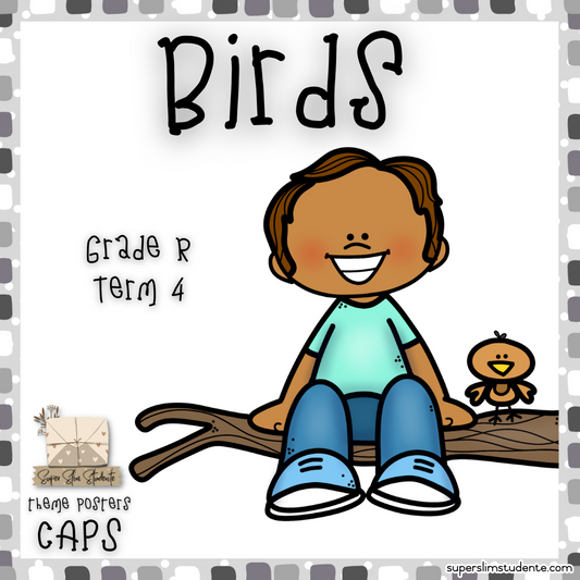 Birds (CAPS GRADE R / TERM 4 / LIFE SKILLS)