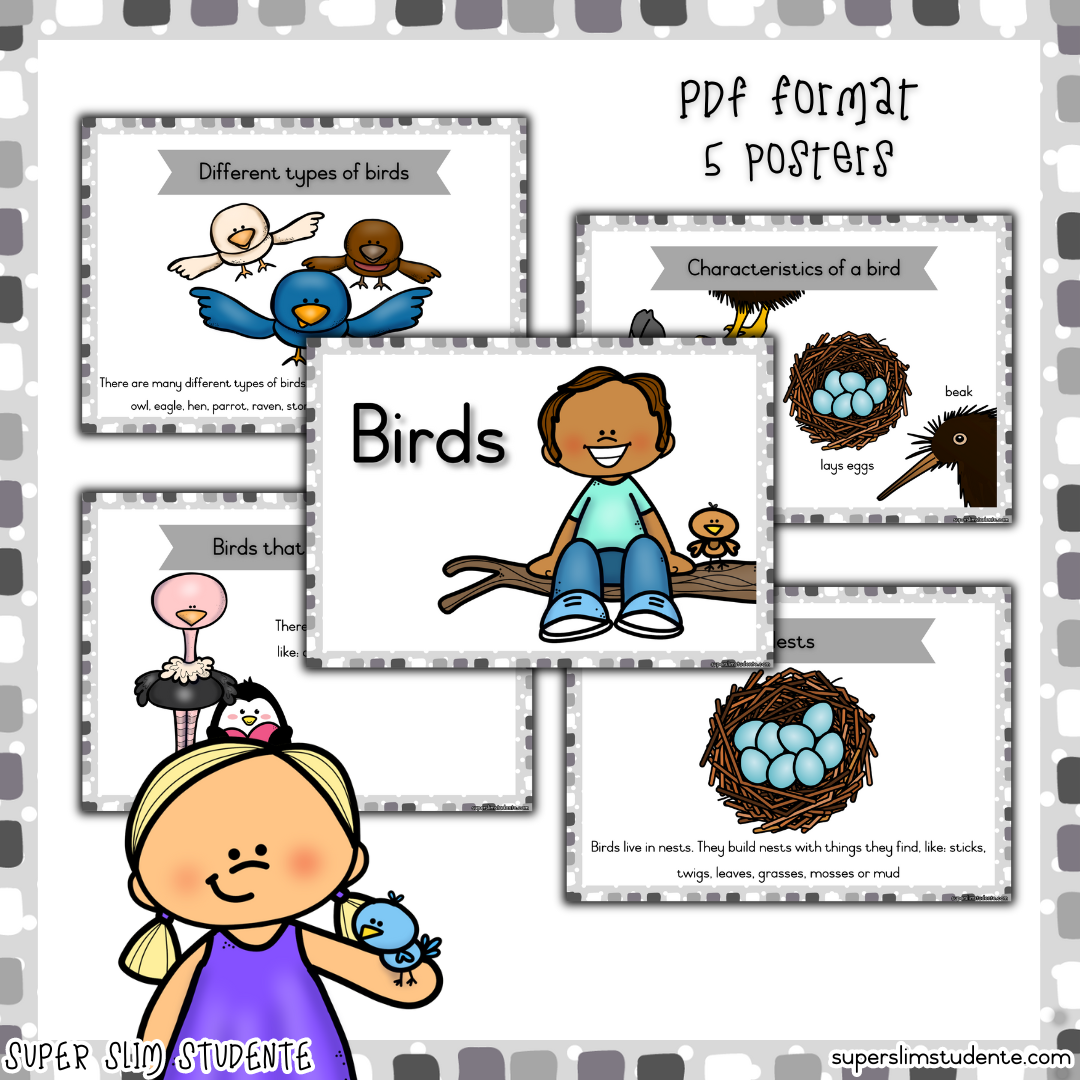 Birds (CAPS GRADE R / TERM 4 / LIFE SKILLS)