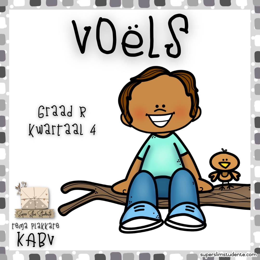 Birds (CAPS GRADE R / TERM 4 / LIFE SKILLS)