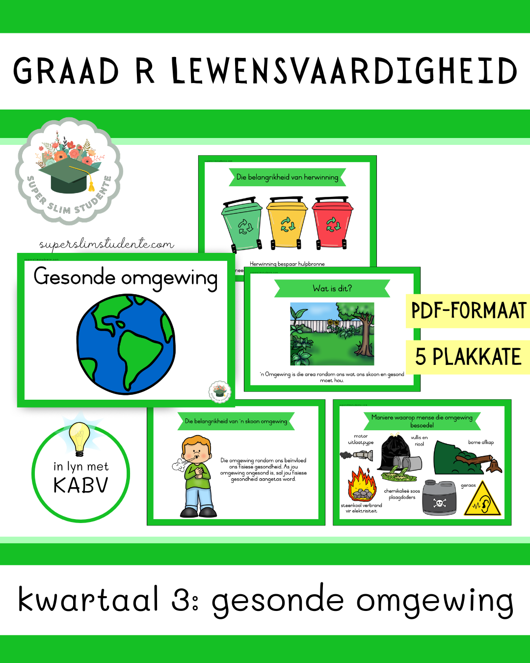 Healthy Environment (CAPS GRADE R / TERM 3 / LIFE SKILLS)