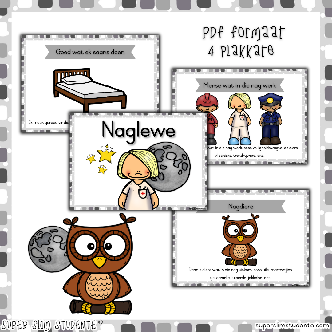 Life at night (CAPS GRADE 2 / TERM 4 / LIFE SKILLS)