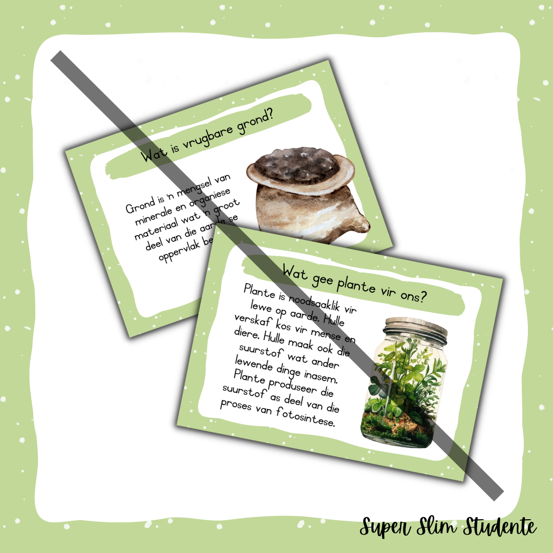 Plants and seeds Theme Posters