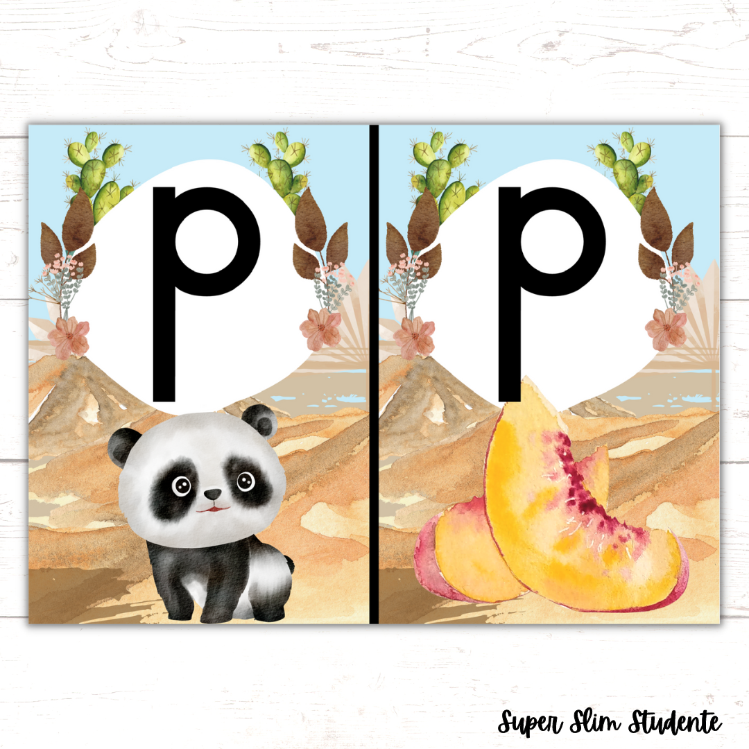 Boho Desert Classroom Theme (Foundation Phase)