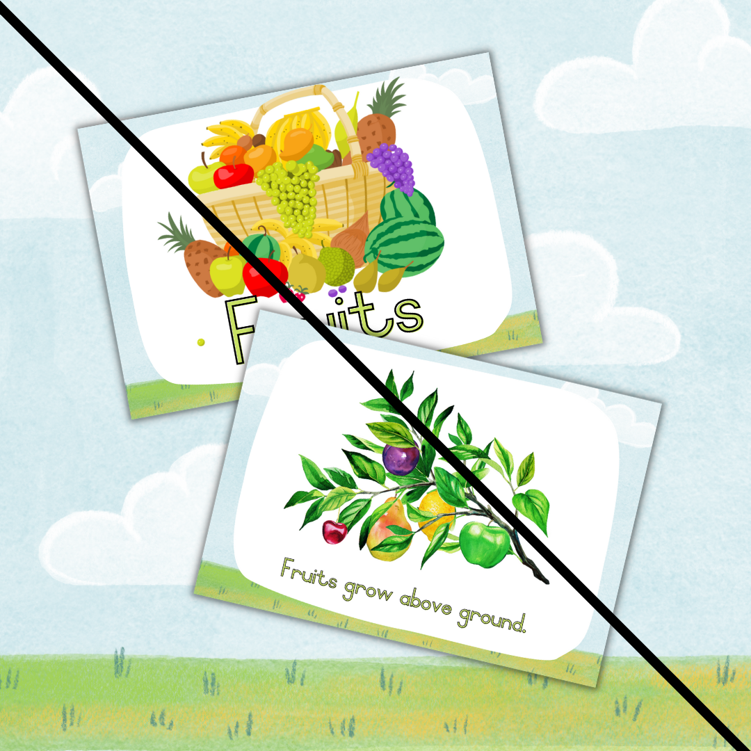 Fruits Theme Posters