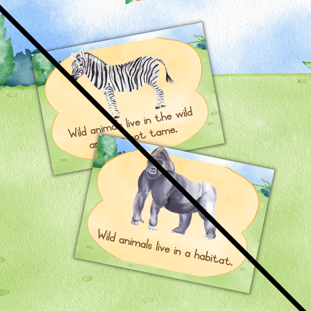 Wild Animals Theme Posters