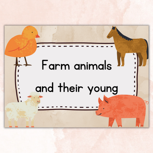 Farm animals and their young