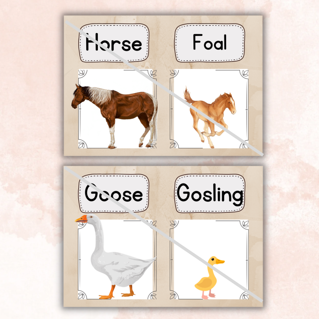 Farm animals and their young