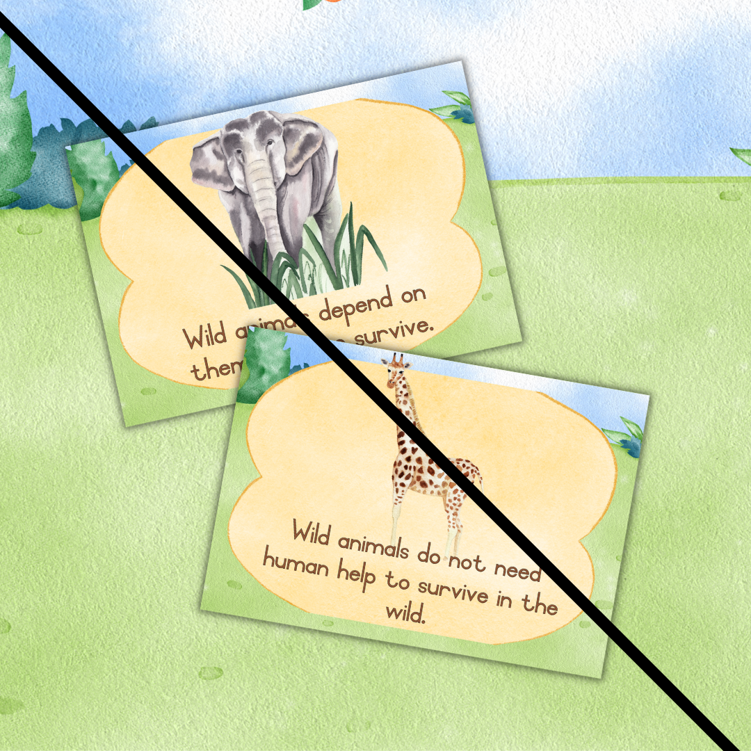 Wild Animals Theme Posters