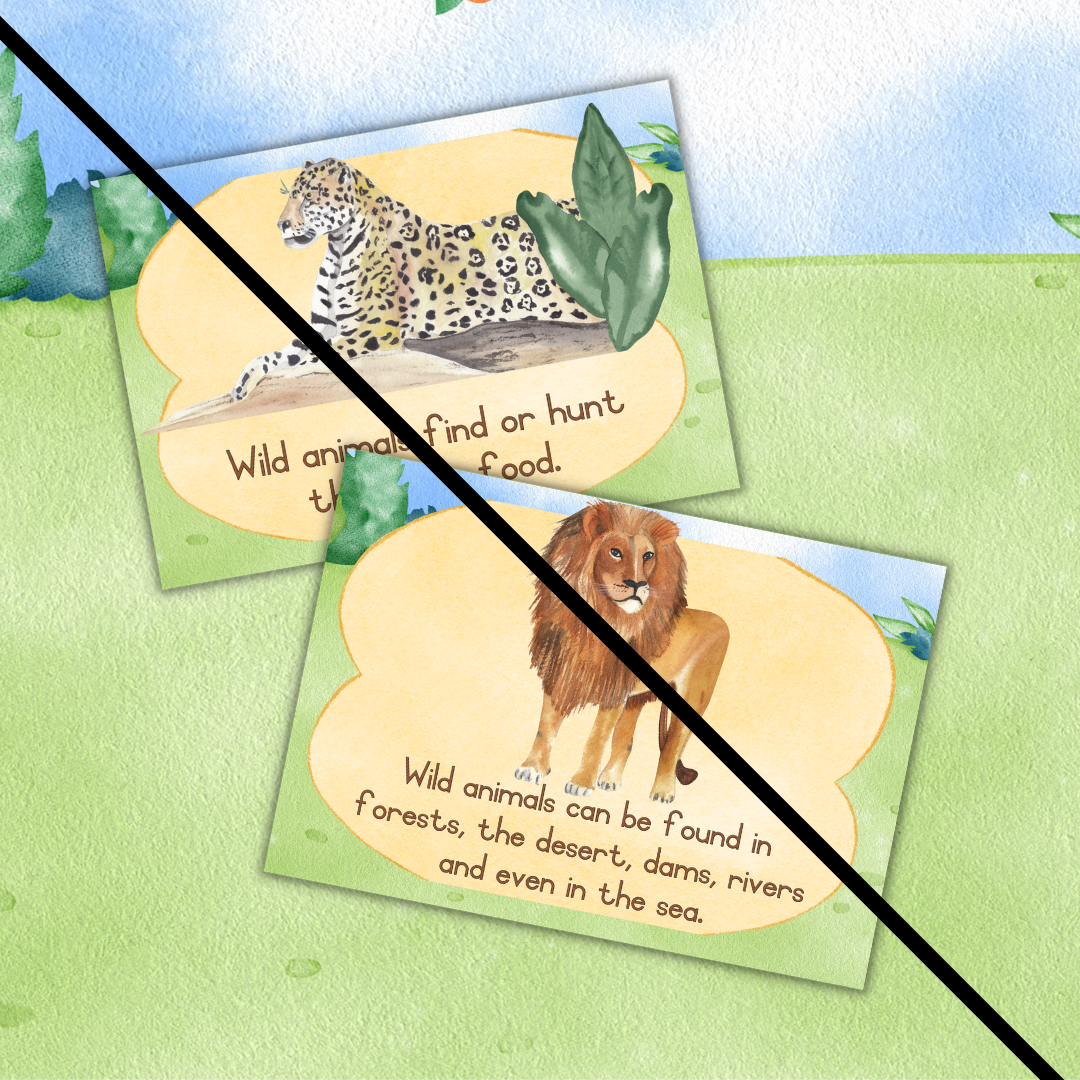 Wild Animals Theme Posters