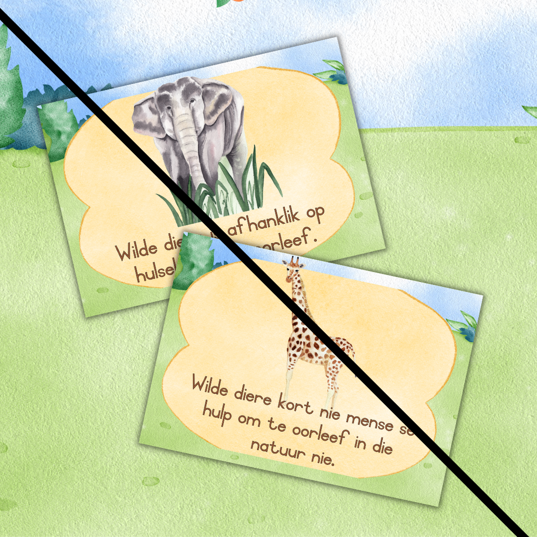 Wild Animals Theme Posters