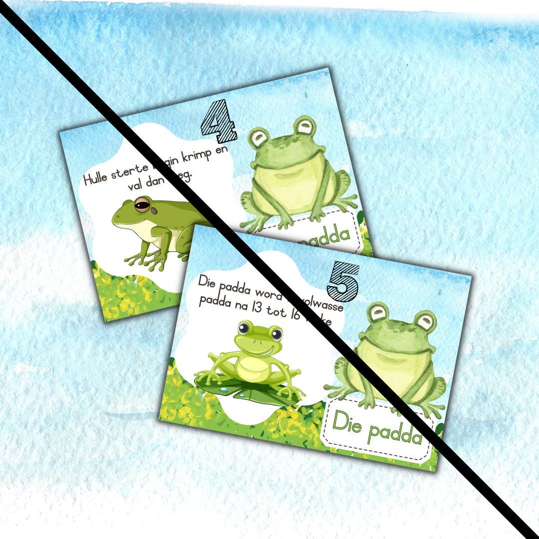 Life Cycle: The frog