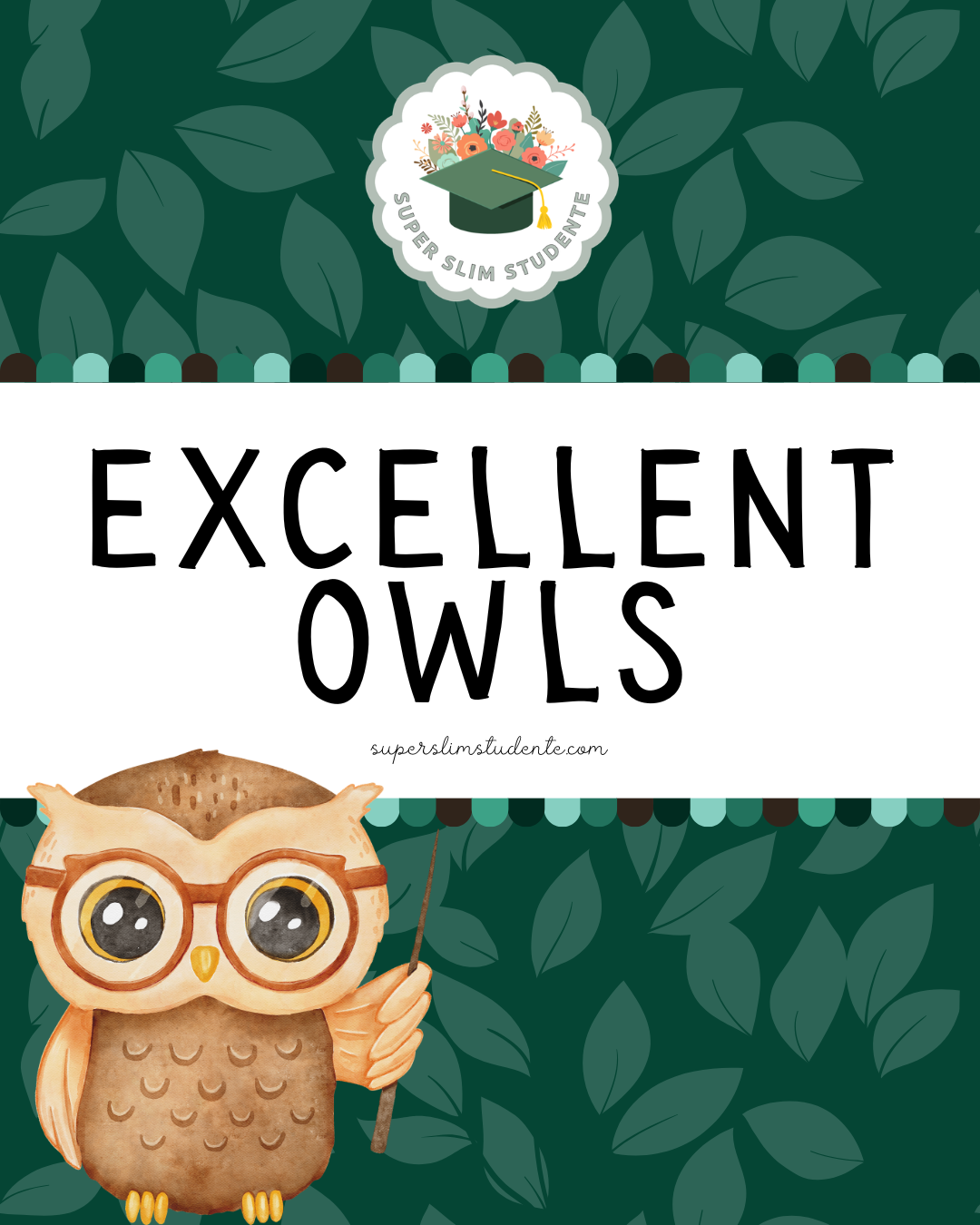 Excellent Owls Theme