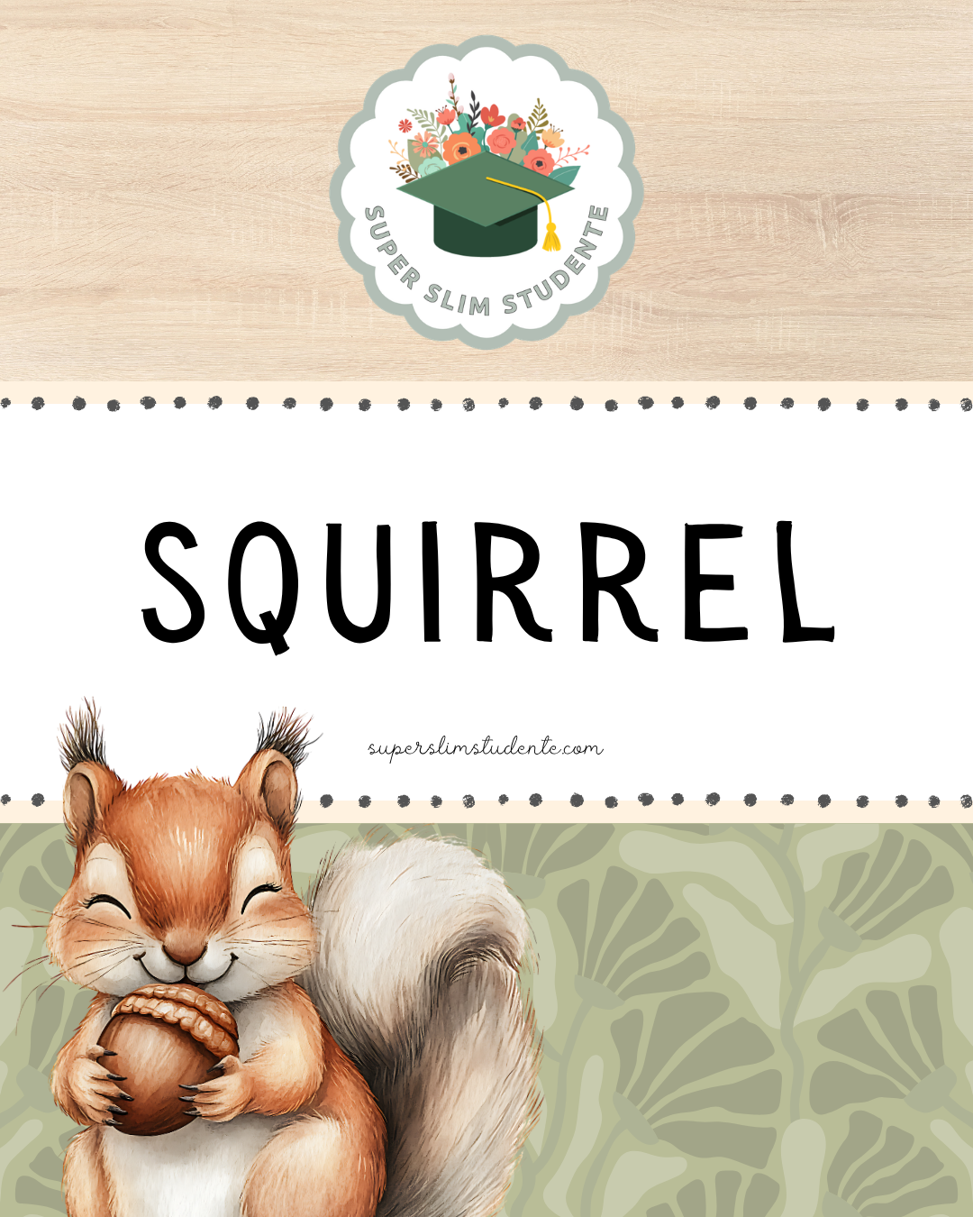 Squirrel Theme