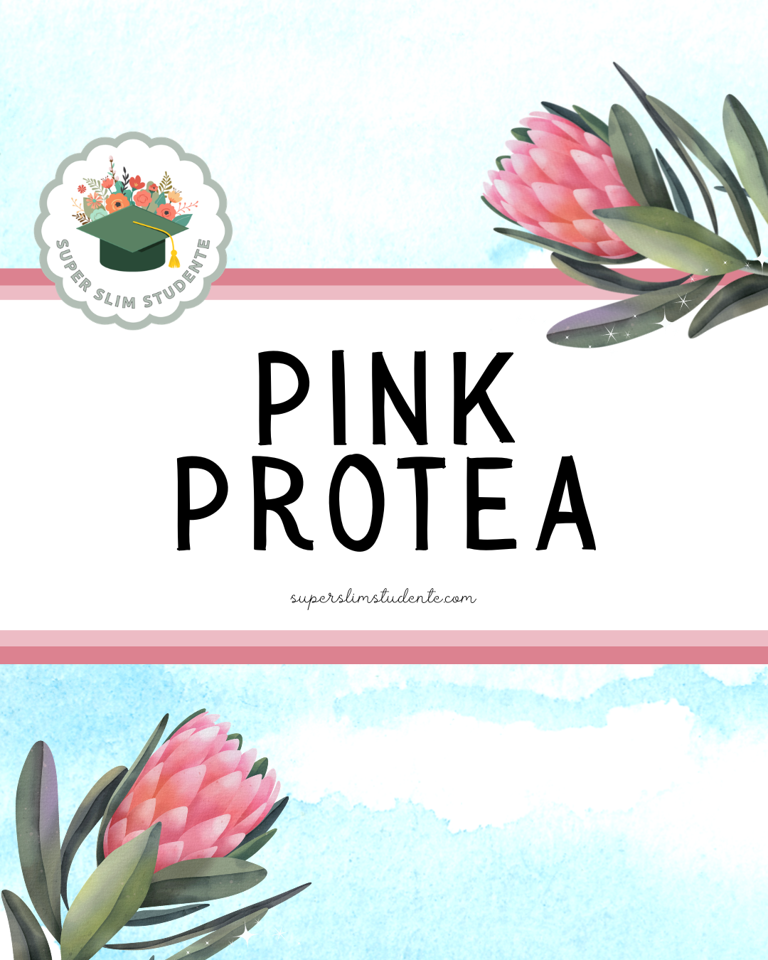 Pink Protea Theme