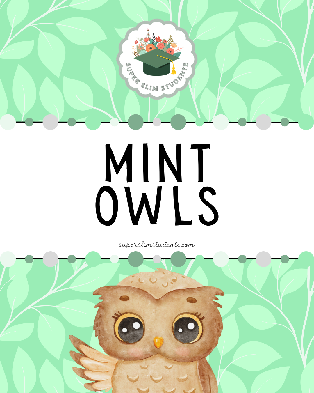 Mint Owls Theme