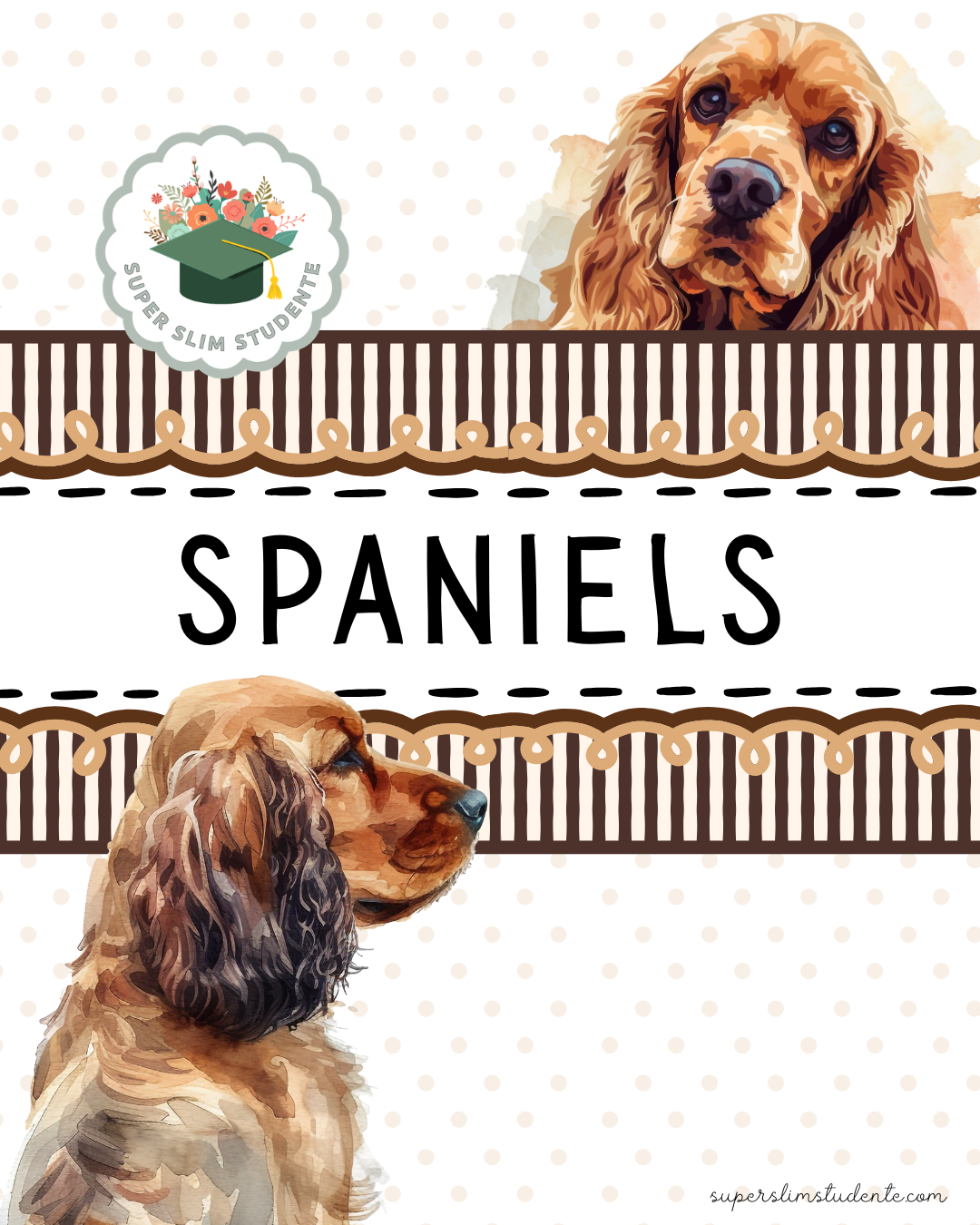 Spaniels Theme