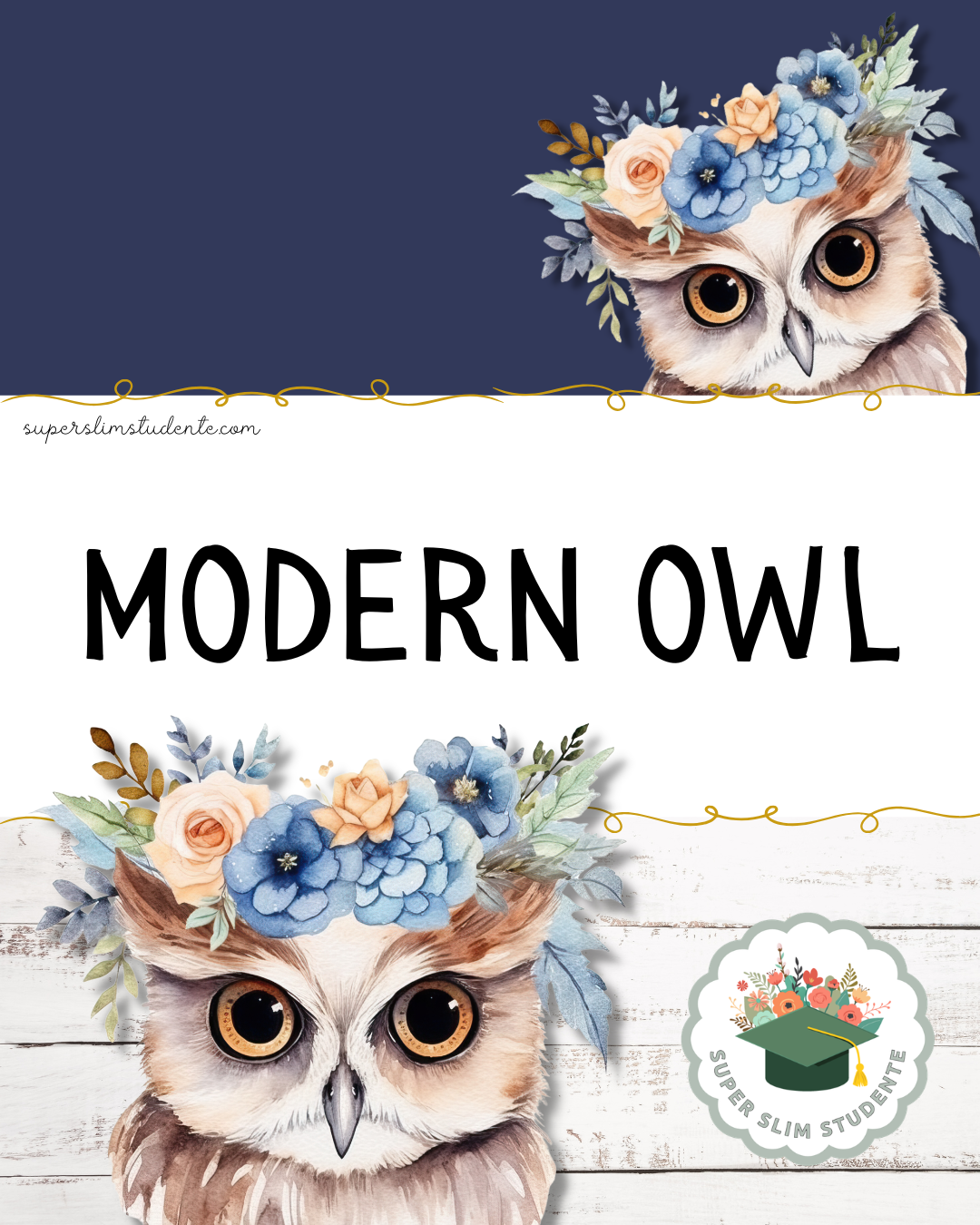 Modern Owl Theme