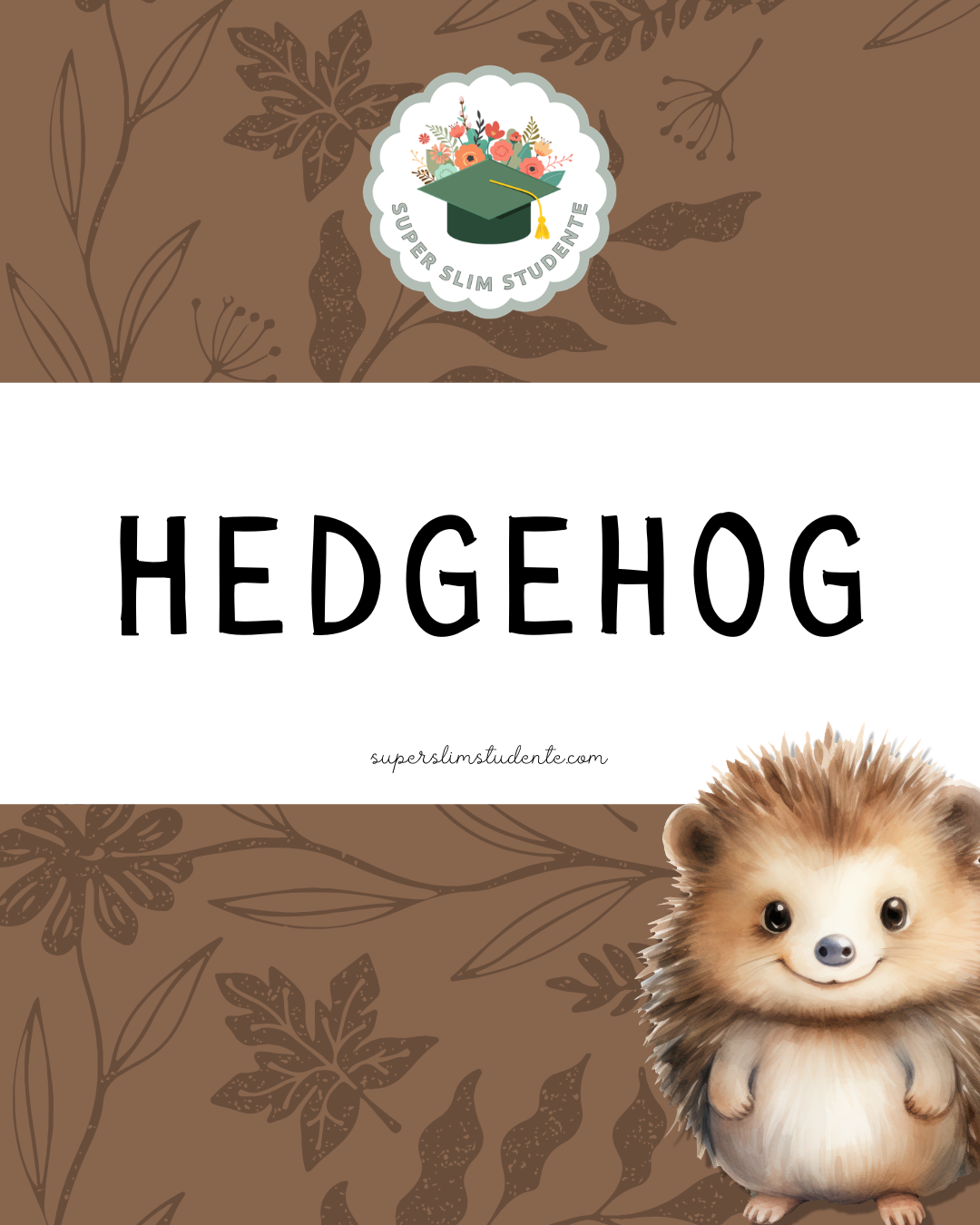 Hedgehog Theme