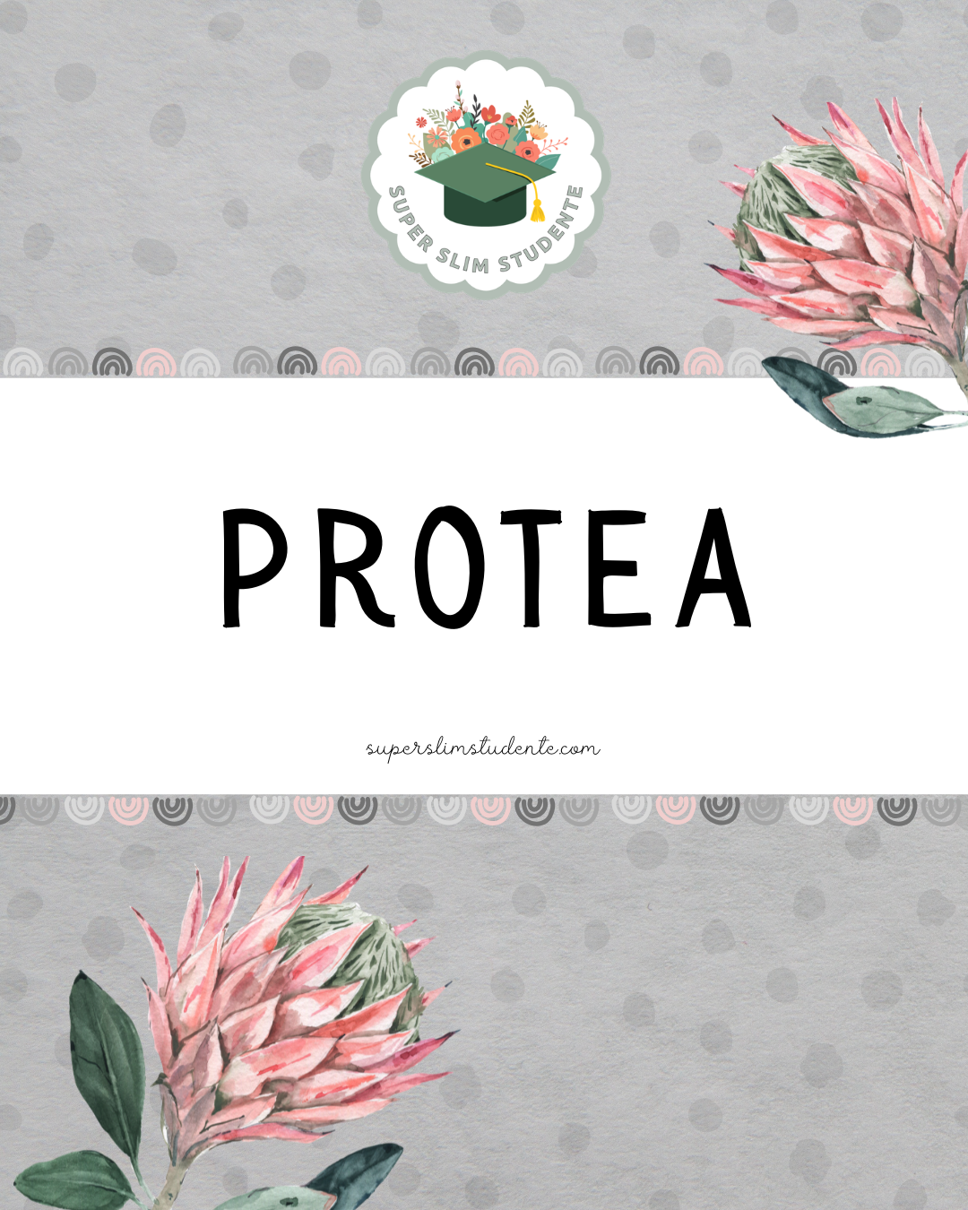 Grey Protea Theme