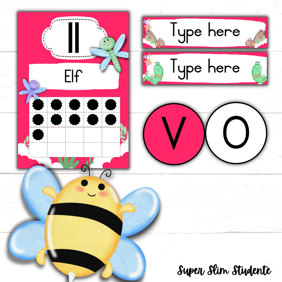 Bugs Classroom Theme (Preschool Version)