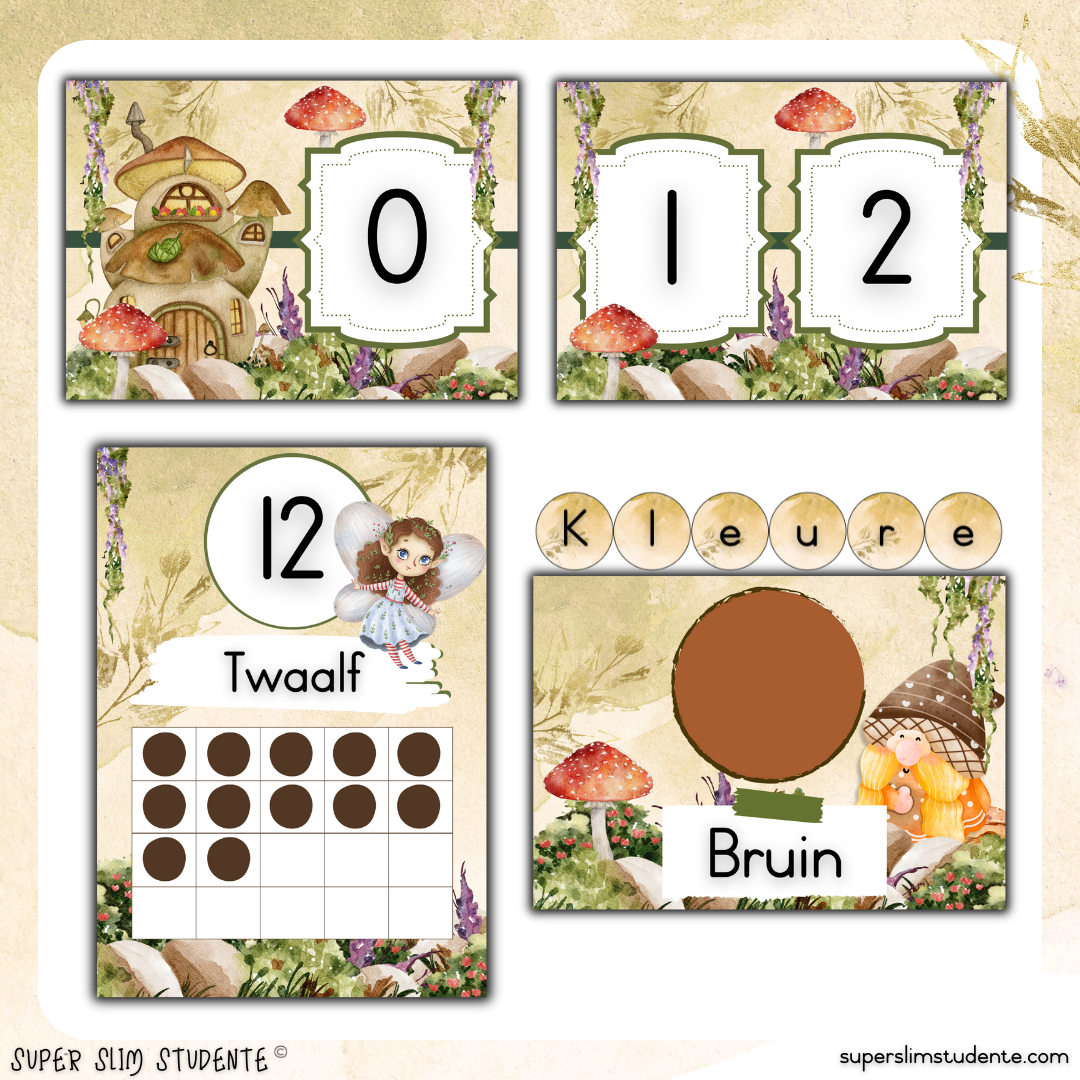 Enchanted Forest Classroom Theme (Foundation Phase)