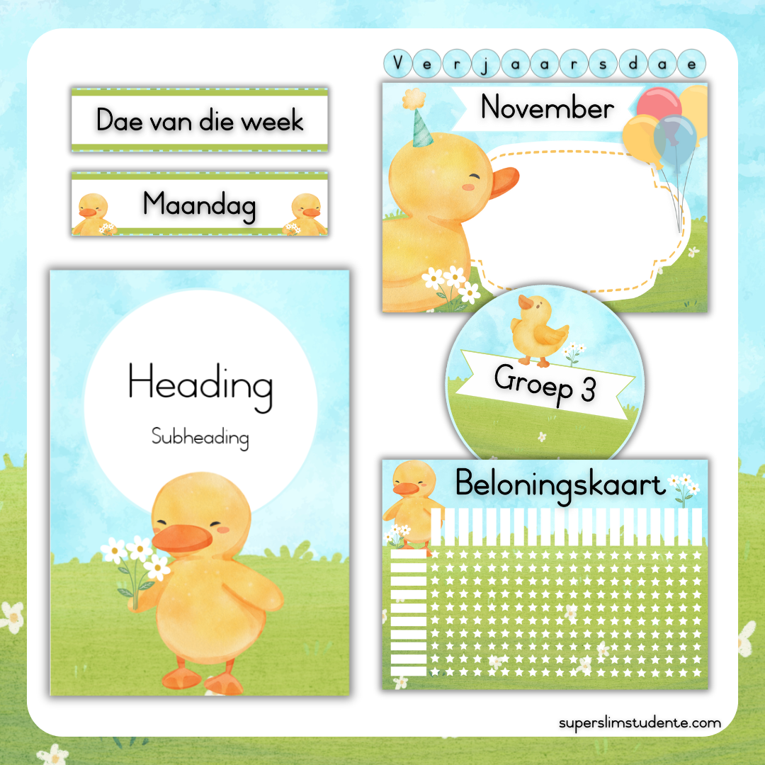 Cute Duckies Classroom Theme (Foundation Phase)