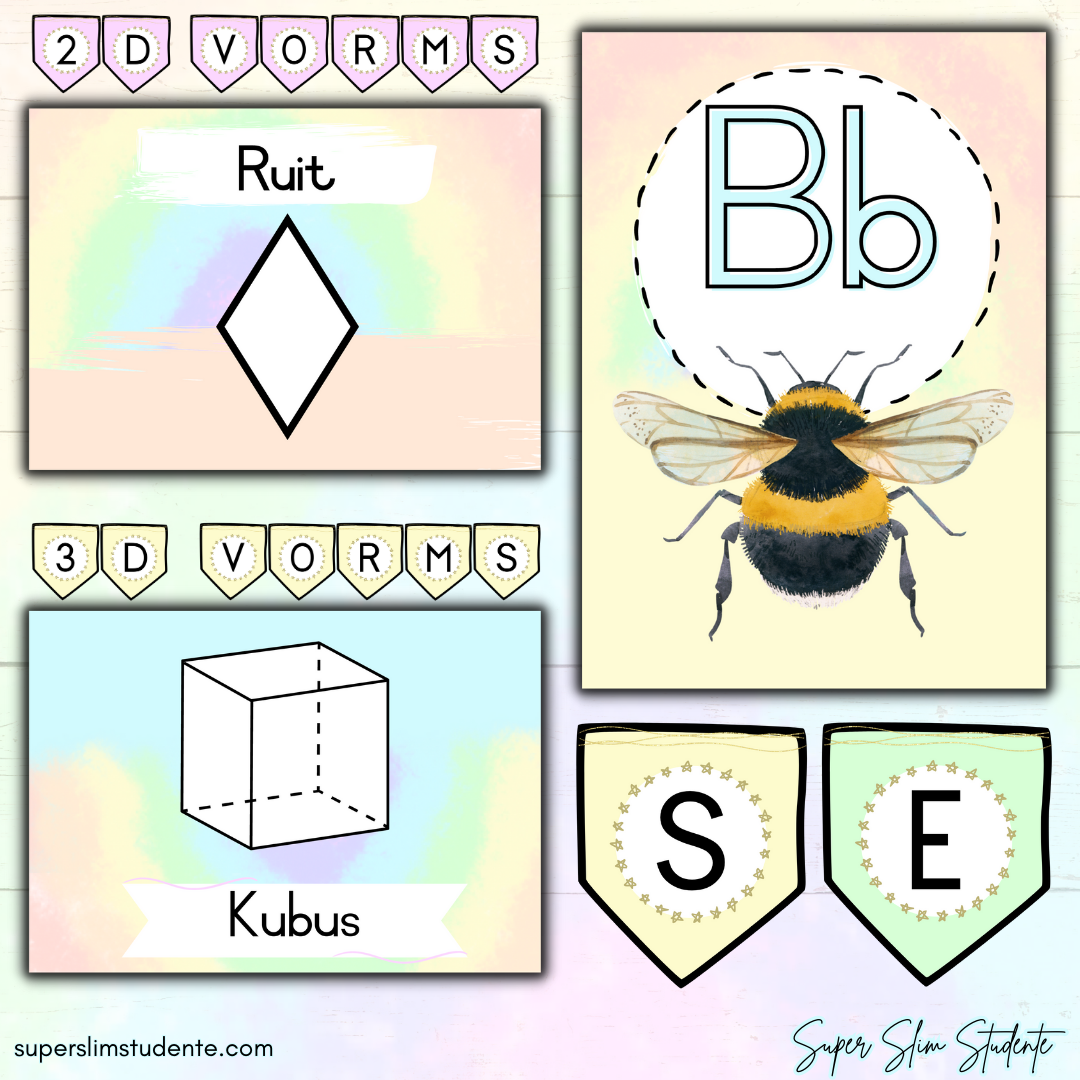 Pastel Classroom Theme (Foundation Phase)