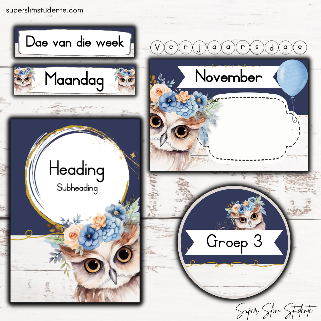 Modern Owl Classroom Theme (Foundation Phase)