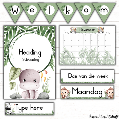 Cute Safari Classroom Theme (Foundation Phase)