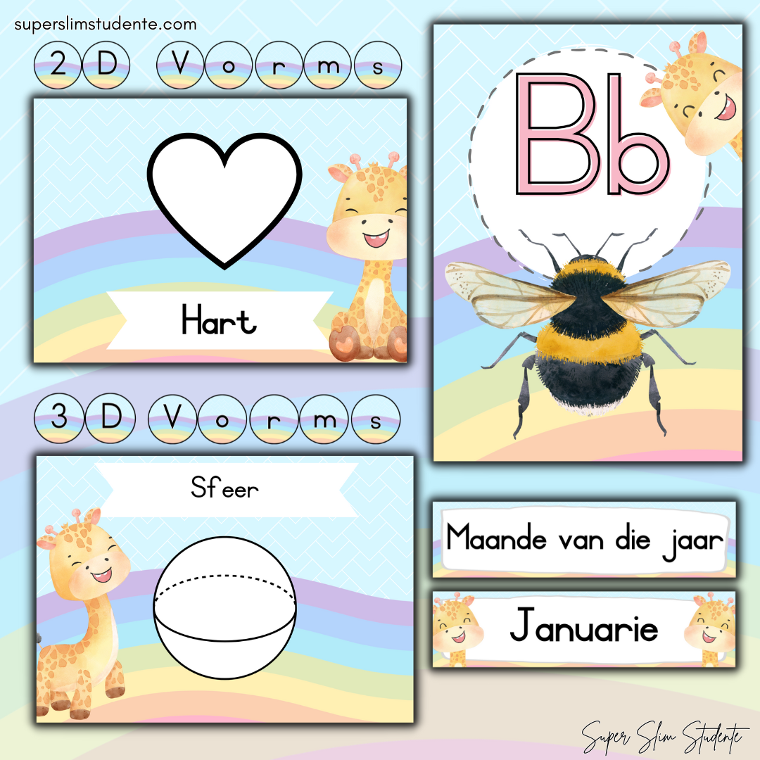 Rainbow Giraffe Classroom Theme (Foundation Phase)