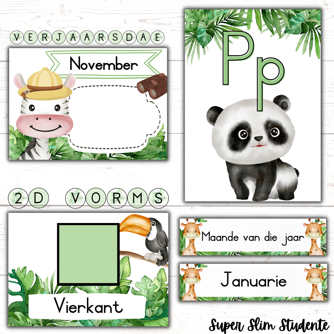 Safari Classroom Theme (Foundation Phase)