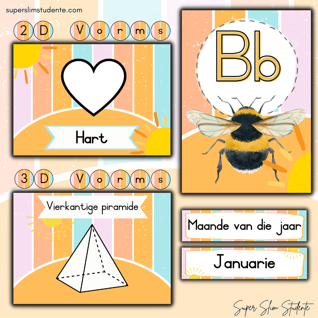 Hello Sunshine Classroom Theme (Foundation Phase)