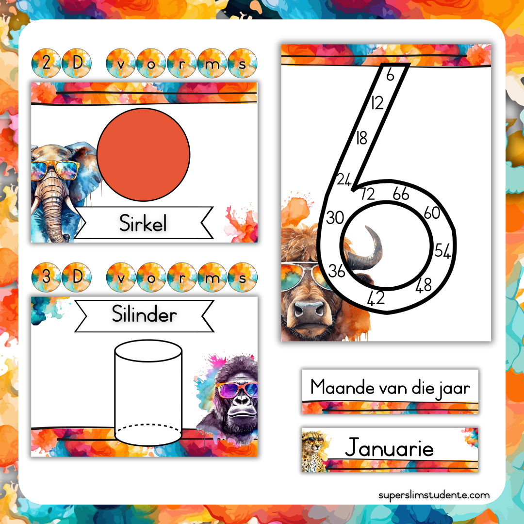 Bright Animals Classroom Theme (Foundation Phase)