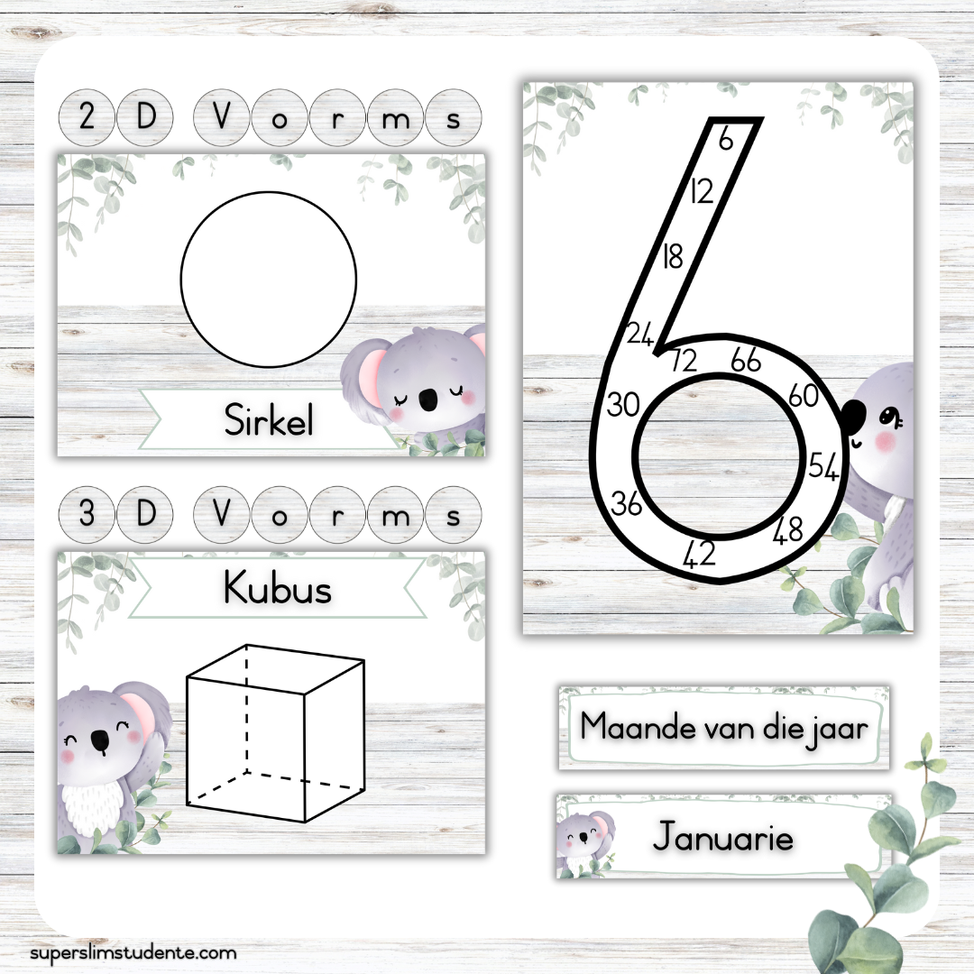 Koala Classroom Theme (Foundation Phase)