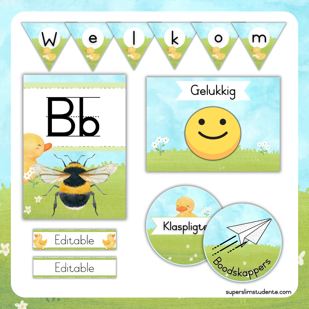 Cute Duckies Classroom Theme (Foundation Phase)