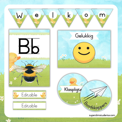 Cute Duckies Classroom Theme (Foundation Phase)