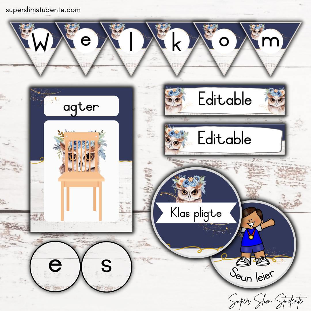 Modern Owl Classroom Theme (Foundation Phase)