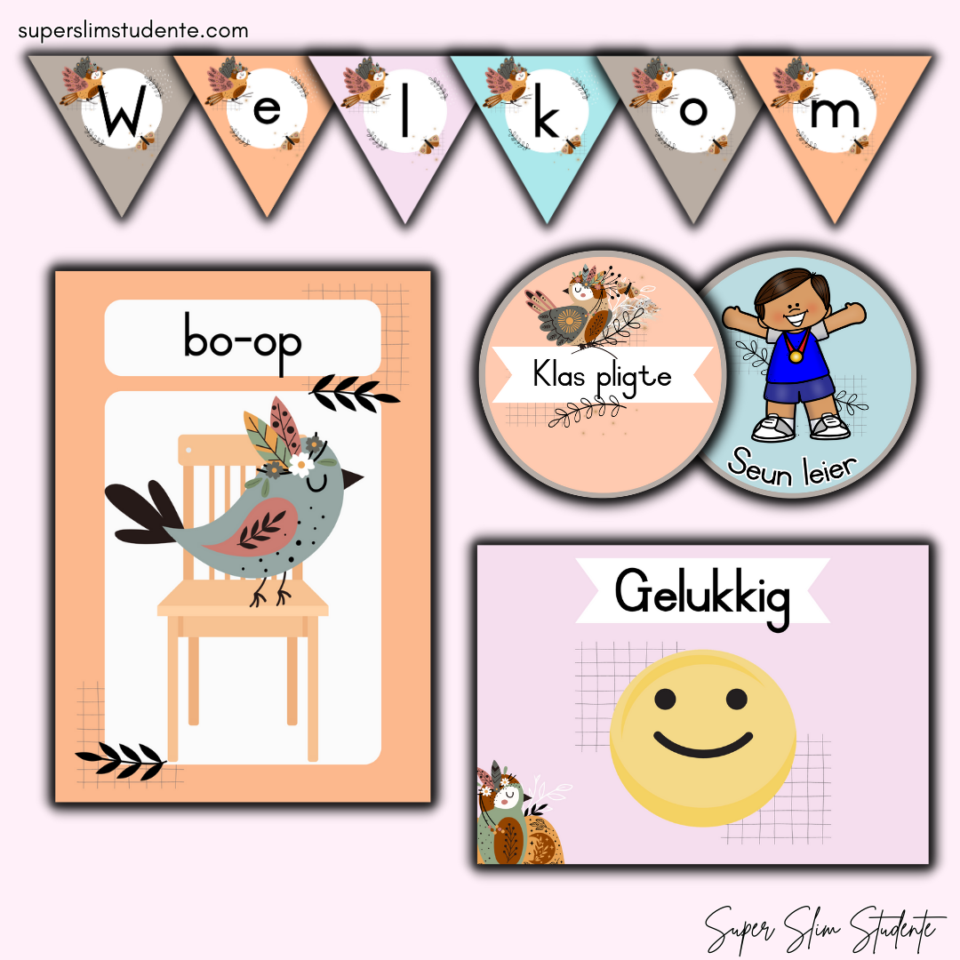 Pastel Boho Birds Classroom Theme (Preschool)