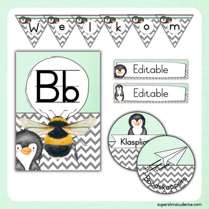 Mint Penguin Classroom Theme (Foundation Phase)