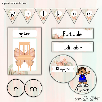 Boho Butterflies Classroom Theme (Foundation Phase)