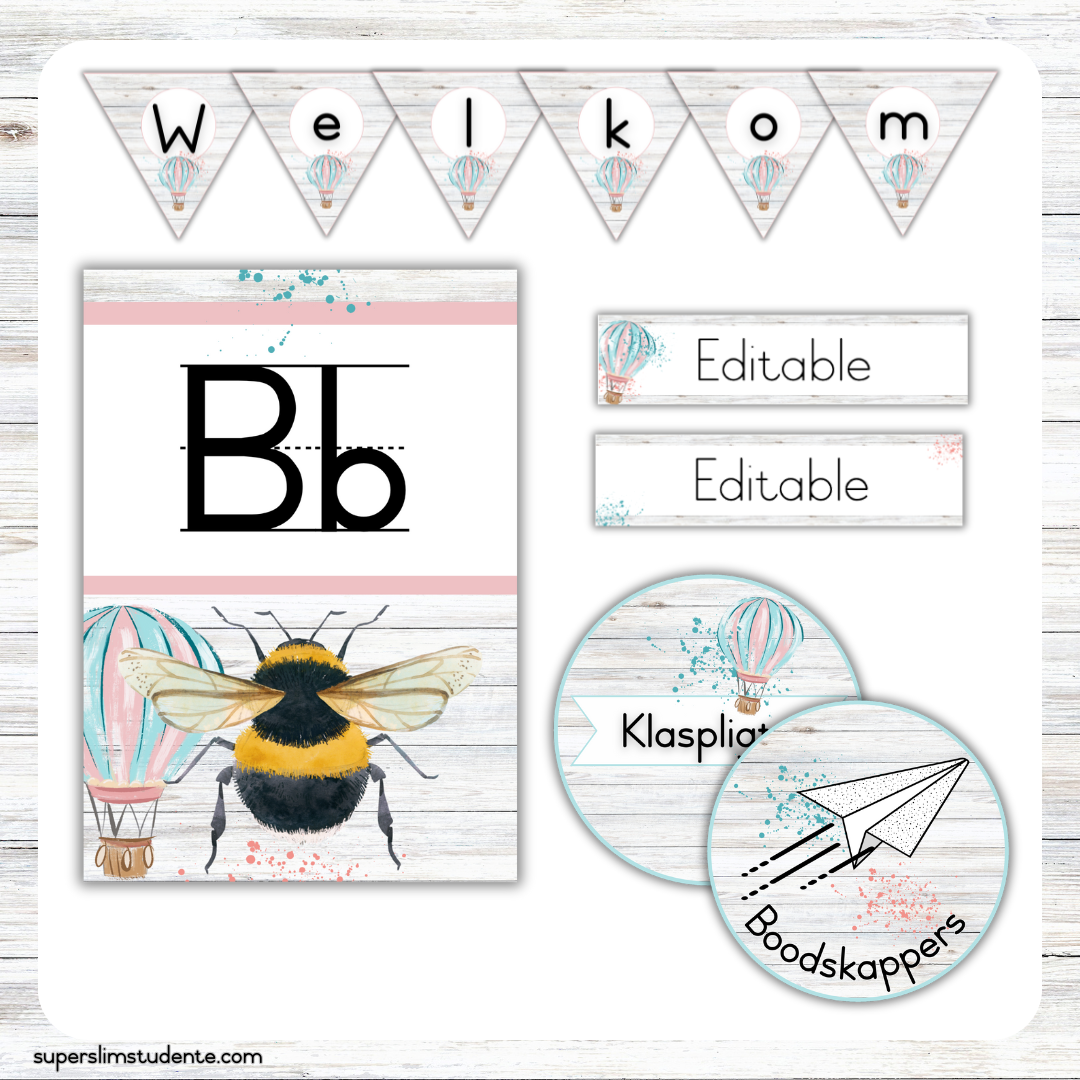 Hot Air Balloon Classroom Theme (Foundation Phase)