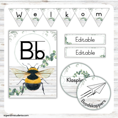 Eucalyptus Classroom Theme (Foundation Phase)