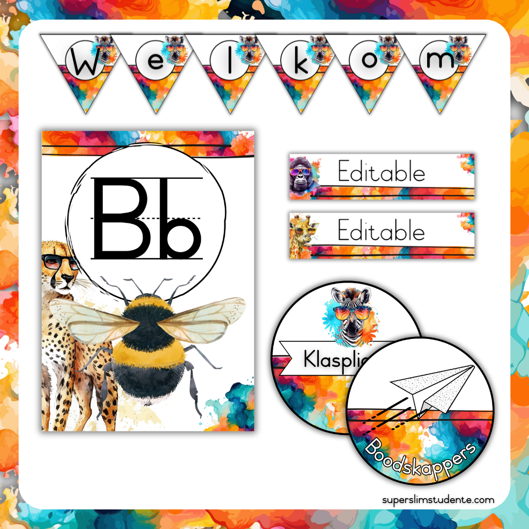 Bright Animals Classroom Theme (Foundation Phase)