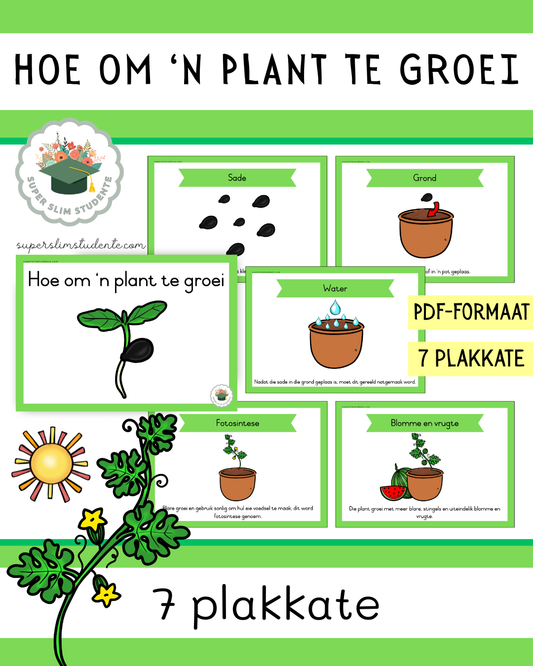 What a plant needs to grow [Choose Language]