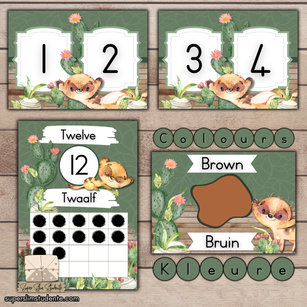 Meerkat Classroom Theme (Foundation Phase)