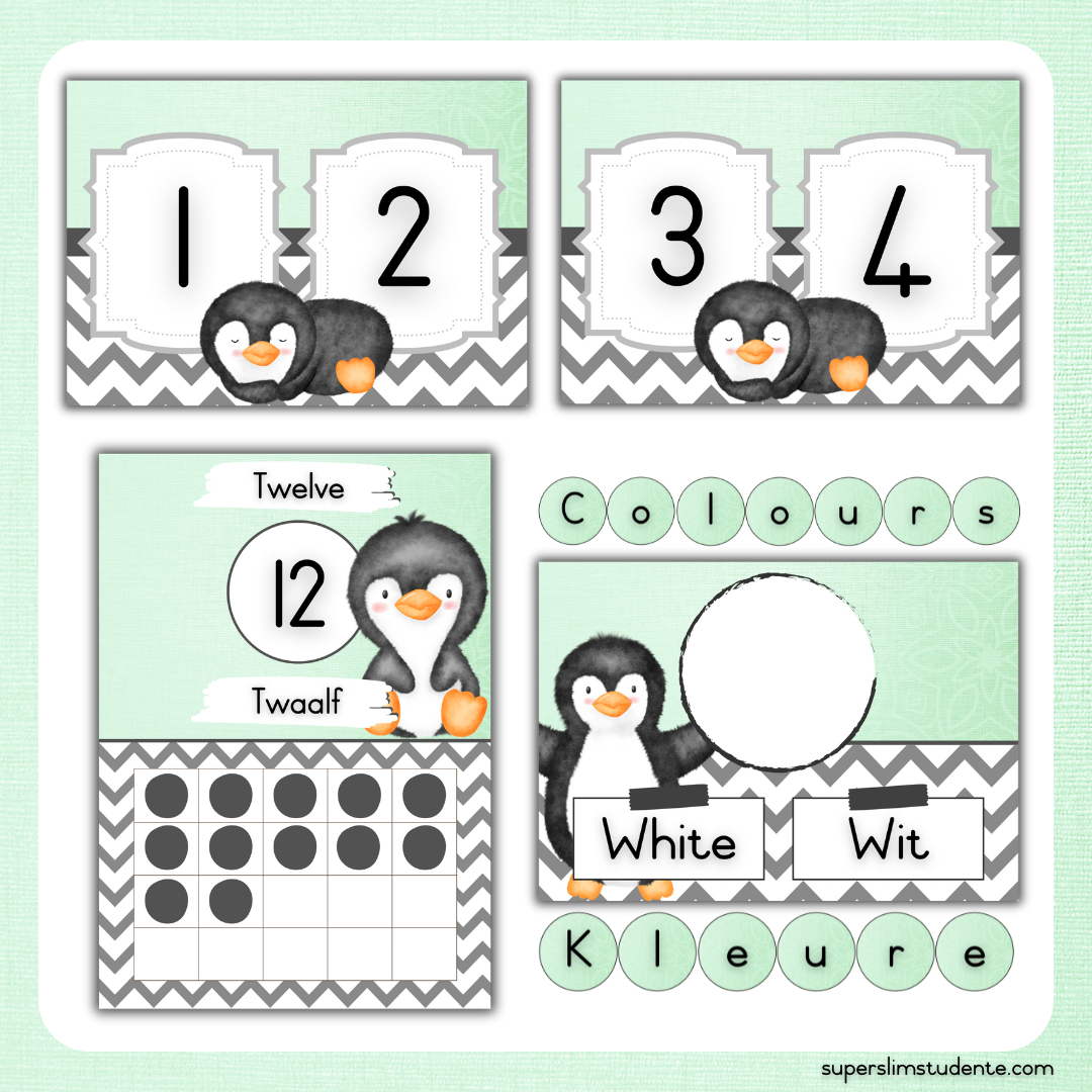 Mint Penguin Classroom Theme (Foundation Phase)