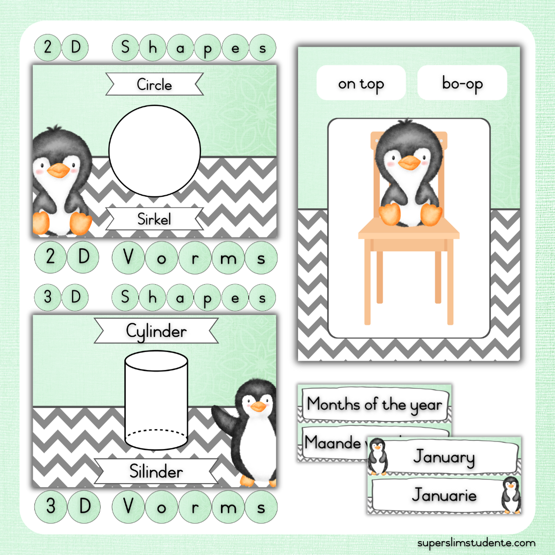 Mint Penguin Classroom Theme (Foundation Phase)